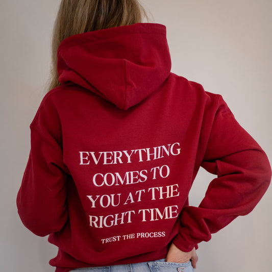 TRUST THE PROCESS HOODIE - CARDINAL